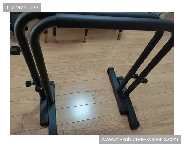 荣耀健身器材品牌特色与销售渠道